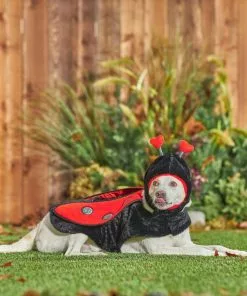 Frisco Ladybug Dog & Cat Costume -Dog Cat Corner 260971 PT8. SY630 V1624401658