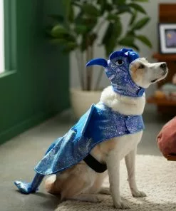 Frisco Dragon Dog & Cat Costume 17 Frisco Dragon Dog & Cat Costume -Dog Cat Corner 260973 PT8. SY630 V1624341507