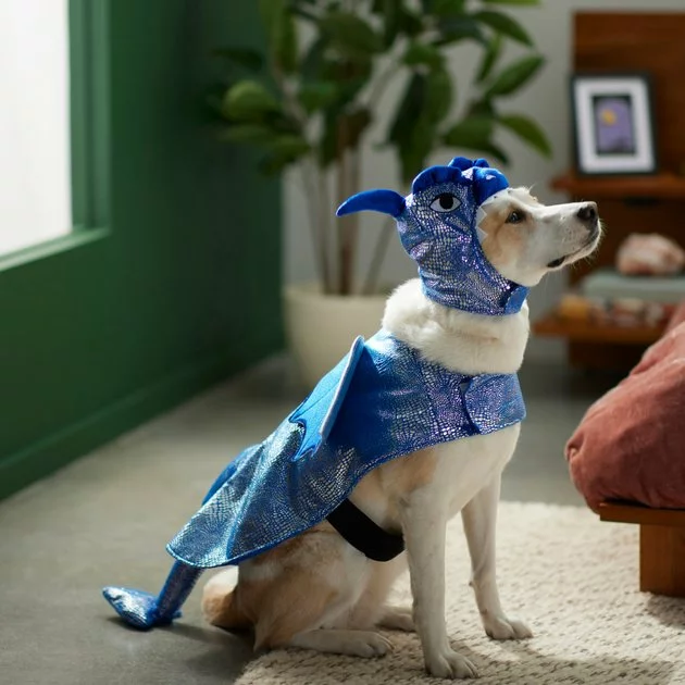 Frisco Dragon Dog & Cat Costume 10 Frisco Dragon Dog & Cat Costume - Image 8