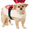 Frisco Sushi Dog & Cat Costume -Dog Cat Corner 260983 MAIN. SY630 V1624398867