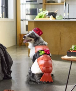 Frisco Sushi Dog & Cat Costume -Dog Cat Corner 260983 PT8. SY630 V1624397339