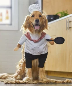Frisco Front Walking Chef Dog & Cat Costume -Dog Cat Corner 261002 PT8. SY630 V1624366984