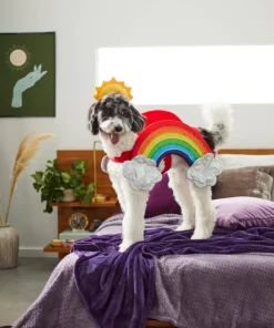 Frisco Rainbow Dog & Cat Costume -Dog Cat Corner 261019 PT8. SY630 V1624370951