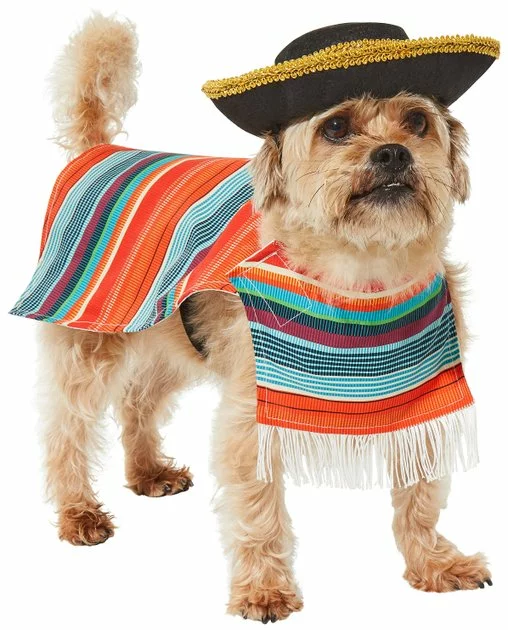 Frisco Serape Dog & Cat Costume 3 Frisco Serape Dog & Cat Costume