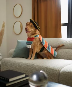 Frisco Serape Dog & Cat Costume 13 Frisco Serape Dog & Cat Costume -Dog Cat Corner 261041 PT8. SY630 V1624339394