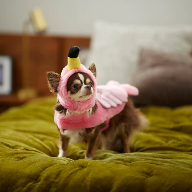 Frisco Flamingo Dog & Cat Costume 9 Frisco Flamingo Dog & Cat Costume - Image 7