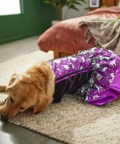 Frisco Midnight Witch Dog & Cat Costume -Dog Cat Corner 261058 PT8. SY630 V1624400298