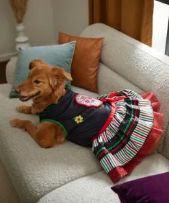 Frisco Day of the Dead Dog & Cat Costume Dress -Dog Cat Corner 261076 PT8. SY630 V1624335820