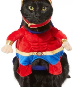 Frisco Front Walking Superhero Dog & Cat Costume