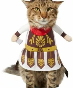 Frisco Front Walking Warrior Dog & Cat Costume