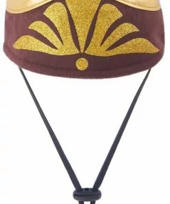 Frisco Front Walking Warrior Dog & Cat Costume -Dog Cat Corner 261086 PT7. SY630 V1624401576