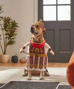 Frisco Front Walking Warrior Dog & Cat Costume -Dog Cat Corner 261086 PT8. SY630 V1624402357