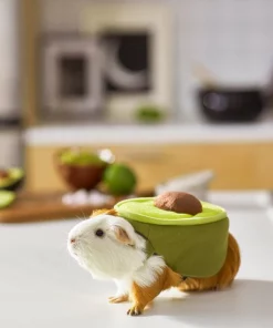 Frisco Avocado Guinea Pig Costume, One Size 11 Frisco Avocado Guinea Pig Costume, One Size -Dog Cat Corner 261095 PT8. SY630 V1624454728