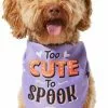 Frisco Too Cute to Spook Dog & Cat Bandana -Dog Cat Corner 261098 MAIN. SY630 V1624305781
