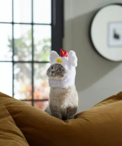Frisco Chicken Cat Costume, One Size -Dog Cat Corner 261102 PT8. SY630 V1624307866