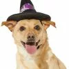 Frisco Midnight Witch Dog & Cat Hat -Dog Cat Corner 261106 MAIN. SY630 V1631810796
