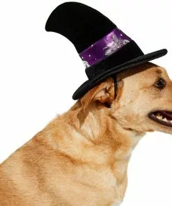 Frisco Midnight Witch Dog & Cat Hat -Dog Cat Corner 261106 PT3. SY630 V1624306178
