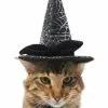 Frisco Cobweb Witch Dog & Cat Hat -Dog Cat Corner 261109 MAIN. SY630 V1625075886