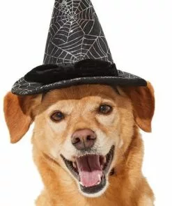 Frisco Cobweb Witch Dog & Cat Hat 9 Frisco Cobweb Witch Dog & Cat Hat -Dog Cat Corner 261109 PT2. SY630 V1625076831
