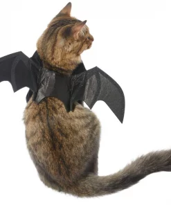 Frisco Bat Wings Dog & Cat Costume