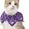 Frisco Spooky Halloween Cat Collar Ruffle, One Size -Dog Cat Corner 261118 MAIN. SY630 V1624338513