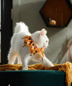 Frisco Whimsical Halloween Cat Collar Ruffle, One Size -Dog Cat Corner 261120 PT8. SY630 V1624306105