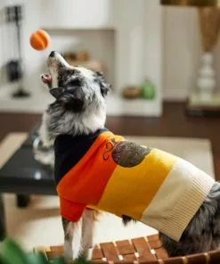 Frisco Colorblock Sequin Pumpkin Dog & Cat Sweater -Dog Cat Corner 261141 PT8. SY630 V1624461130