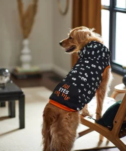 Frisco Glow in the Dark "All Eyes On Me" Dog & Cat Hoodie 19 Frisco Glow in the Dark "All Eyes On Me" Dog & Cat Hoodie -Dog Cat Corner 261155 PT8. SY630 V1624337335