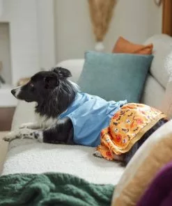 Frisco Chambray Halloween Dog & Cat Dress 15 Frisco Chambray Halloween Dog & Cat Dress -Dog Cat Corner 261165 PT8. SY630 V1624401787