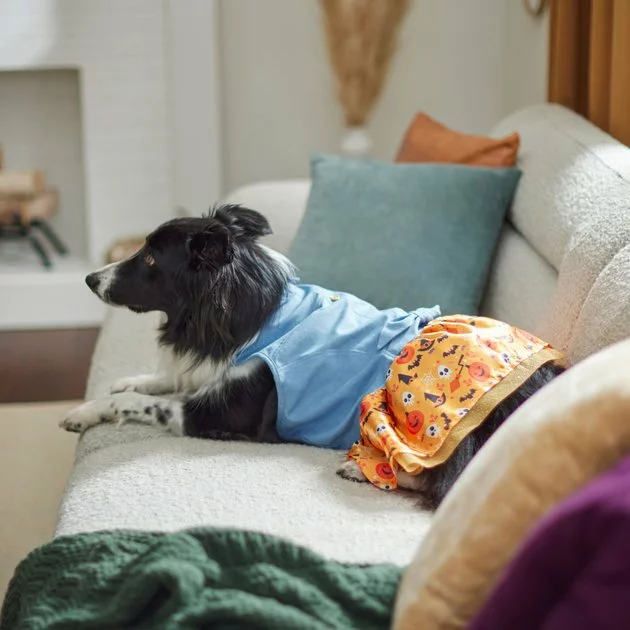 Frisco Chambray Halloween Dog & Cat Dress 9 Frisco Chambray Halloween Dog & Cat Dress - Image 7