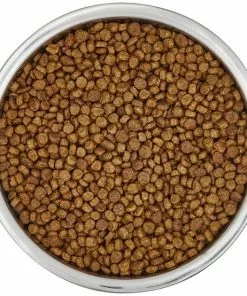 Frisco Insulated Non-Skid Flair Stainless Steel Dog & Cat Bowl, Stainless Steel -Dog Cat Corner 261753 PT4. SY630 V1623937583