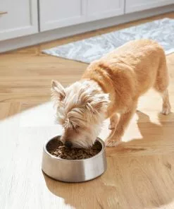 Frisco Insulated Non-Skid Stainless Steel Dog & Cat Bowl, Stainless Steel -Dog Cat Corner 261756 PT5. SY630 V1623937574