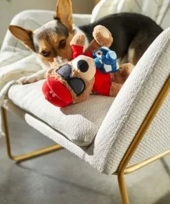 Frisco Road Trip Tourist Bear Plush Squeaky Dog Toy -Dog Cat Corner 261995 PT3. SY630 V1618598730