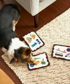 Frisco Road Trip Postcards Flat Plush Squeaky Dog Toy, 3 count -Dog Cat Corner 262005 PT3. SY630 V1618598296