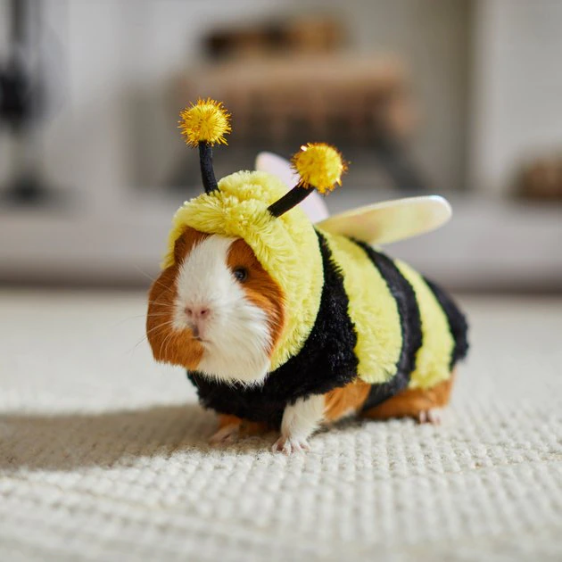 Frisco Bumble Guinea Pig Costume, One Size 8 Frisco Bumble Guinea Pig Costume, One Size - Image 6