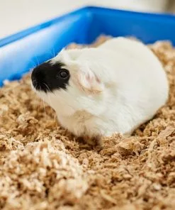 Frisco Small Pet Bedding, Natural, 2 pack, 36-L -Dog Cat Corner 263928 PT5. SY630 V1625589904