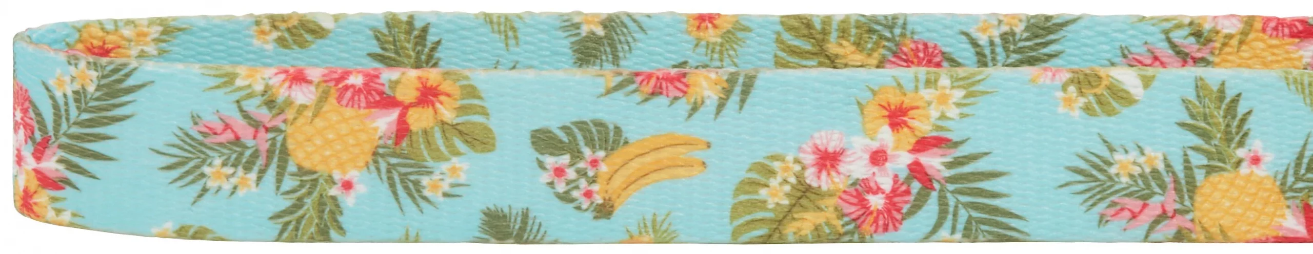 Frisco Tropics Dog Collar 5 Frisco Tropics Dog Collar - Image 3