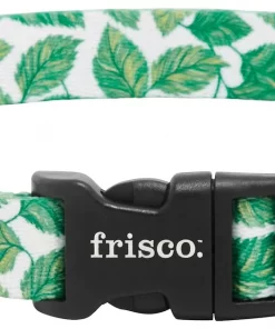 Frisco Spring Leaves Dog Collar