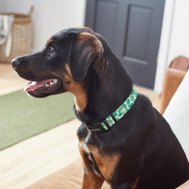 Frisco Spring Leaves Dog Collar 6 Frisco Spring Leaves Dog Collar - Image 4