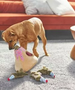 Frisco Birthday Volcano Hide & Seek Plush Dog Toy -Dog Cat Corner 264424 PT3. SY630 V1619474082