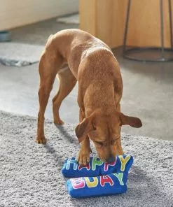 Frisco Happy Birthday Plush Dog Toy -Dog Cat Corner 264428 PT3. SY630 V1619474117