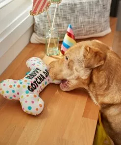 Frisco Birthday Reversible Plush Bone Squeaky Dog Toy -Dog Cat Corner 264432 PT3. SY630 V1619474112