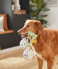 Frisco Birthday Balloon Bouquet Plush with Rope Squeaky Dog Toy -Dog Cat Corner 264440 PT3. SY630 V1619474100