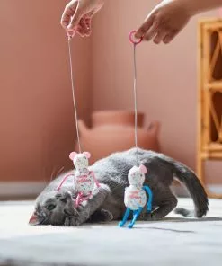 Frisco Birthday Bouncy Mouse Cat Toy, 2 count -Dog Cat Corner 264450 PT3. SY630 V1618948718