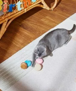 Frisco Macaron Cat Toy with Catnip, Small, 4 count -Dog Cat Corner 264458 PT3. SY630 V1618948769