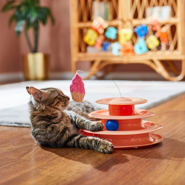 Frisco Birthday Cat Tracks Cat Toy 6 Frisco Birthday Cat Tracks Cat Toy - Image 4