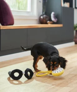 Frisco Magic Pocket Watch & Glasses Plush Squeaky Dog Toy, 2 count -Dog Cat Corner 265590 PT3. SY630 V1620938935