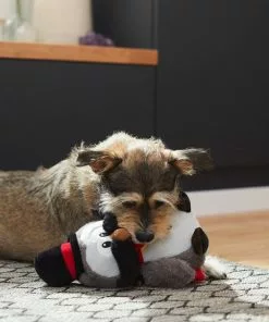 Frisco Magic Owl Plush Squeaky Dog Toy -Dog Cat Corner 265596 PT3. SY630 V1623352167