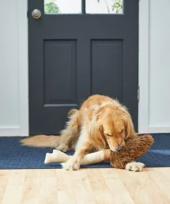 Frisco Magic Broom Plush Squeaky Dog Toy -Dog Cat Corner 265598 PT3. SY630 V1620938980