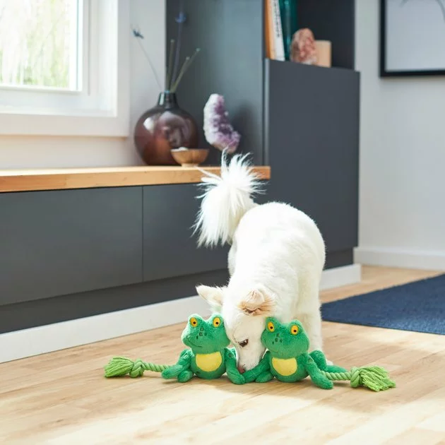 Frisco Magic Frog Plush with Rope Squeaky Dog Toy 5 Frisco Magic Frog Plush with Rope Squeaky Dog Toy - Image 3